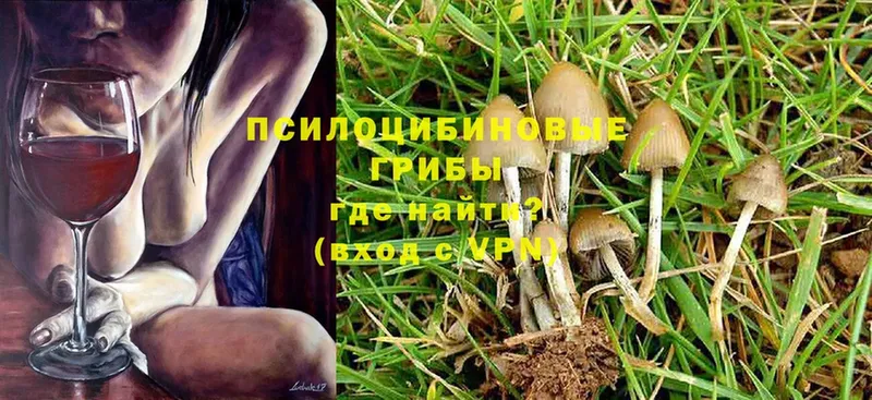 Галлюциногенные грибы Psilocybine cubensis  купить закладку  Отрадное 